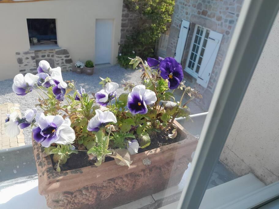 Gite Tante Jeanne Réville Extérieur photo